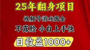 一天收益1000+ 25年开年落地好项目-KJ分享