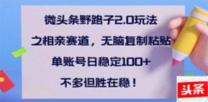微头条野路子2.0玩法之相亲赛道,无脑搬砖复制粘贴,单账号日稳定300+…-KJ分享