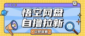 全网首发悟空网盘云真机自撸拉新项目玩法单机可挣10.20不等-KJ分享