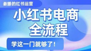 小红书电商全流程,精简易懂,从入门到精通,学这一门就够了-KJ分享