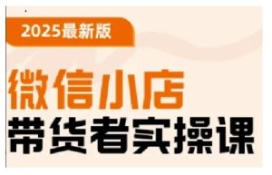 2025最新版微信小店带货者实操课,基础操作到高级运营技巧,快速上手-KJ分享