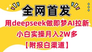 用deepseek做即梦Ai拉新 小白实操月入过W+【附报白渠道】-KJ分享