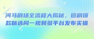 河马剧场全流程大揭秘，短剧爆款精选同一视频多平台发布实操-KJ分享