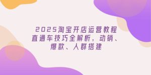 2025淘宝开店运营教程更新,直通车技巧全解析,动销、爆款、人群搭建-KJ分享