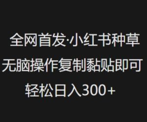 全网首发,小红书种草无脑操作,复制黏贴即可,轻松日入3张-KJ分享