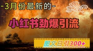小红书超劲爆引流手段，图文日引300+轻松变现1W-KJ分享