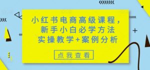 小红书电商高级课程，新手小白必学方法，实操教学+案例分析-KJ分享