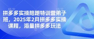 拼多多实操陪跑特训营弟子班,2025年2月拼多多实操课程,海量拼多多玩法-KJ分享