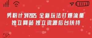男粉计划2025  全新玩法打爆流量 独立网站 独立资源后台扶持-KJ分享
