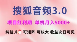 搜狐音频挂ji3.0.可矩阵可放大,独家技术,稳定月入5000+-KJ分享