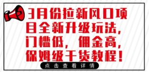 3月份拉新风口项目全新升级玩法,门槛低,佣金高,保姆级干货教程-KJ分享