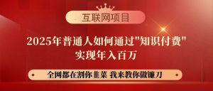 【网创项目终点站-镰刀训练营超级IP合伙人】25年普通人如何通过“知识…-KJ分享