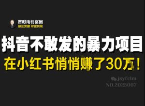 抖音不敢发的暴利项目，在小红书悄悄挣了30W-KJ分享