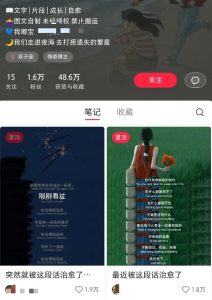 小红书治愈文案图文笔记,零门槛,一分钟制作轻松制作爆款作品月入万元-KJ分享