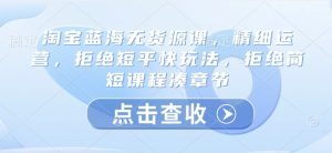 淘宝蓝海无货源课，精细运营，拒绝短平快玩法，拒绝简短课程凑章节-KJ分享