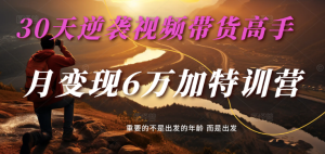 2025视频带货30天逆袭视频带货高手，单月变现6万加特训营-KJ分享