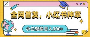 小红书种草,手机项目,日入3张,复制黏贴即可,可矩阵操作,动手不动脑-KJ分享