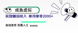 咸鱼虚拟资料 自动发货 无需人工 单月单号2000+-KJ分享