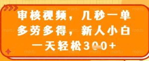 审核视频，几秒一单，多劳多得，新人小白一天轻松3张-KJ分享