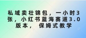 私域卖壮锦包，一小时3张，小红书蓝海赛道3.0版本， 保姆式教学-KJ分享