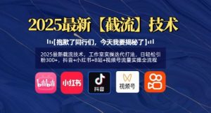 2025最新截流技术，工作室实操迭代打法，日轻松引粉300+，抖音+小红书+B站+视频号流量实操全流程-KJ分享