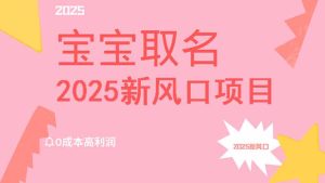 2025新风口项目宝宝取名,0成本高利润,附保姆级教程,月入过万不是梦-KJ分享
