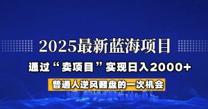 2025年蓝海项目，如何通过“网创项目”日入2000+-KJ分享