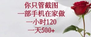 你只管截图，一部手机在家做，一小时120.一天5张-KJ分享