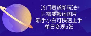 冷门赛道新玩法,只需要搬运图片,新手小白可快速上手,单日变现多张-KJ分享