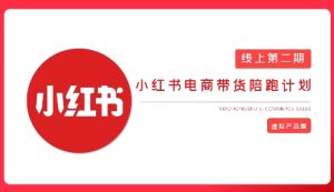 2025小红书虚拟电商实战课，从0到1打造无货源店铺，AI+爆款笔记轻松变现-KJ分享
