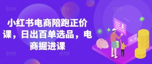 小红书电商陪跑正价课,小红书官方认证电商讲师教学,日出百单选品,电商掘进课-KJ分享