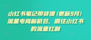 小红书笔记带货课(更新25年3月)流量电商新机会，抓住小红书的流量红利-KJ分享