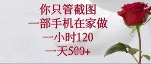 你只管截图，一部手机在家操作，一小时120.一天5张-KJ分享