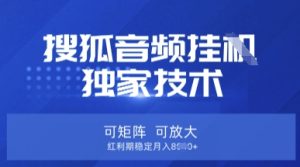 【搜狐音频挂G】独家技术,可矩阵可放大,红利期稳定月入8k-KJ分享