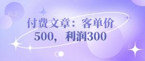 付费文章:客单价500,利润300-KJ分享