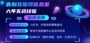 2025最新流量玩法出炉,无视平台风控,小红书暴利引流打法,日引流1000+-KJ分享