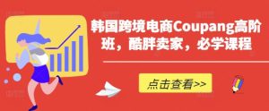 韩国跨境电商Coupang高阶班，酷胖卖家，必学课程-KJ分享