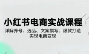 小红书从0-1实操课(2023-2025),详解养号、选品、文案撰写、爆款打造实现电商变现-KJ分享