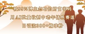 被99%博主忽略的财富密码:用AI批量收割中老年情感赛道,日引流300+精准粉-KJ分享