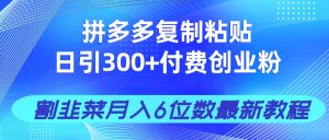 拼多多复制粘贴日引300+付费创业粉,割韭菜月入6位数最新教程!-KJ分享