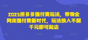 2025拼多多强付费玩法,带领全网走强付费新时代,玩法投入不超千元即可起店-KJ分享