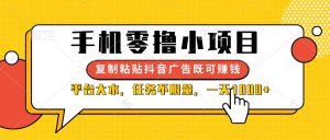 手机零撸小项目,复制粘贴抖音广告即可赚钱,平台大水,任务不限量,一…-KJ分享