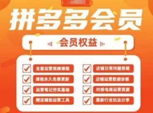 2025拼多多运营实战课,40节全流程教学,覆盖拼多多运营全链路-KJ分享