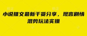 小说推文最新干货分享,现言剧情混剪玩法实操-KJ分享