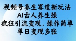 视频号养生赛道新玩法,AI古人养生操,疯狂引流变现,操作简单,单日变现多张-KJ分享