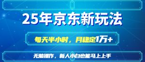 25京东新玩法，每天半小时，月稳定1W+-KJ分享