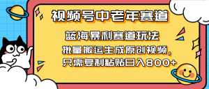 2025视频号中老年短视频蓝海暴利风口!复制粘贴搬运视频单日赚800+,无…-KJ分享