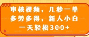 最新审核视频，几秒一单，多劳多得，新人小白一天轻松3张-KJ分享