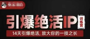 引爆绝活IP训练营,14天引爆绝活,放大你的一技之长-KJ分享