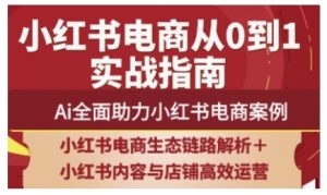 2025小红书电商全链路运营，Ai全面助力小红书电商案例-KJ分享